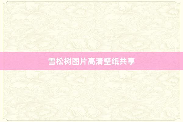 雪松树图片高清壁纸共享