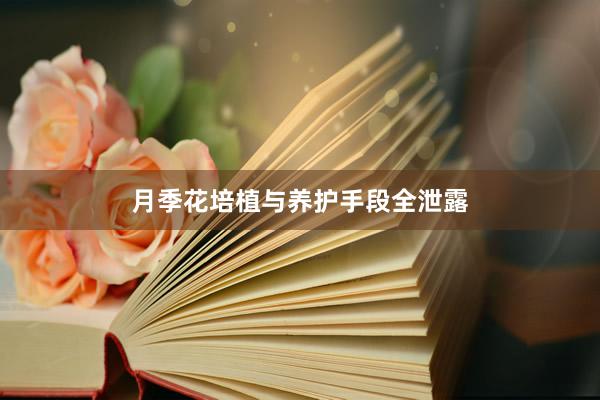 月季花培植与养护手段全泄露